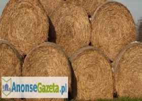 Lesko Bale siana i sianokiszonki bele baloty siano Bale siana i sianokiszonki bele baloty siano